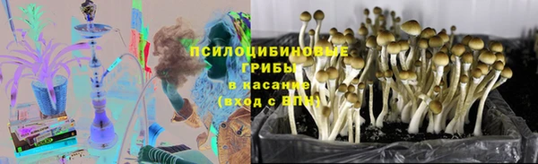 мдпв Заводоуковск