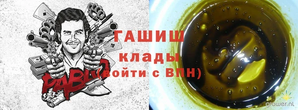 мдпв Заводоуковск