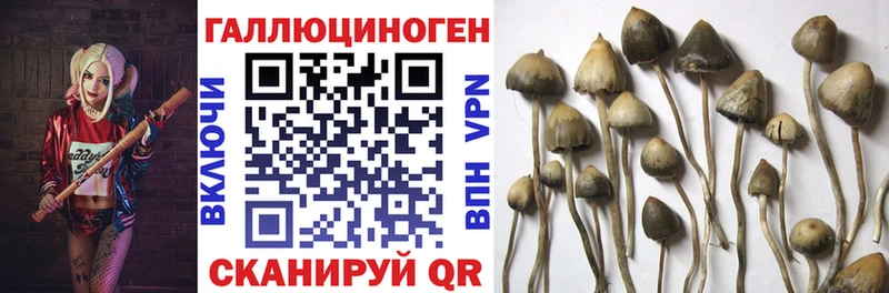 Галлюциногенные грибы Magic Shrooms  цены наркотик  Рассказово 