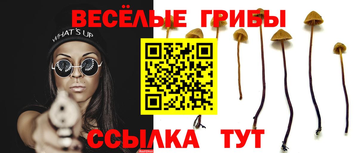 Рассказово  Галлюциногенные грибы Psilocybine cubensis  Вход с VPN  купить закладку  Псилоцибиновые грибы MAGIC MUSHROOMS 